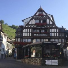 拜訪August Kesseler後到Alte Bauernschänke餐廳午餐：Riesling奶油汁煮豬柳和雞油菌，當然配了一杯Riesling。