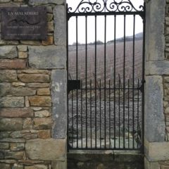 Santenay 的 1er Cru La Maladière 葡萄田，由於黏土成份最多，釀出的酒強勁有力，單寧感較重