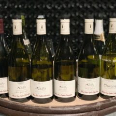 Domaine Rois Mages 擁有不同風格的Rully葡萄田