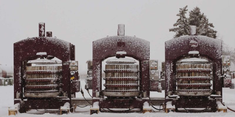 釀製加拿大冰酒，葡萄採收後必須仍處於結冰狀態下壓榨。