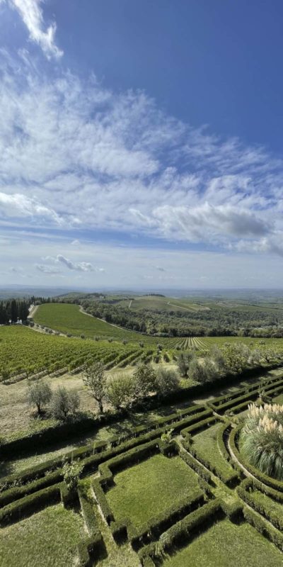 Tuscany的葡萄園風景優美